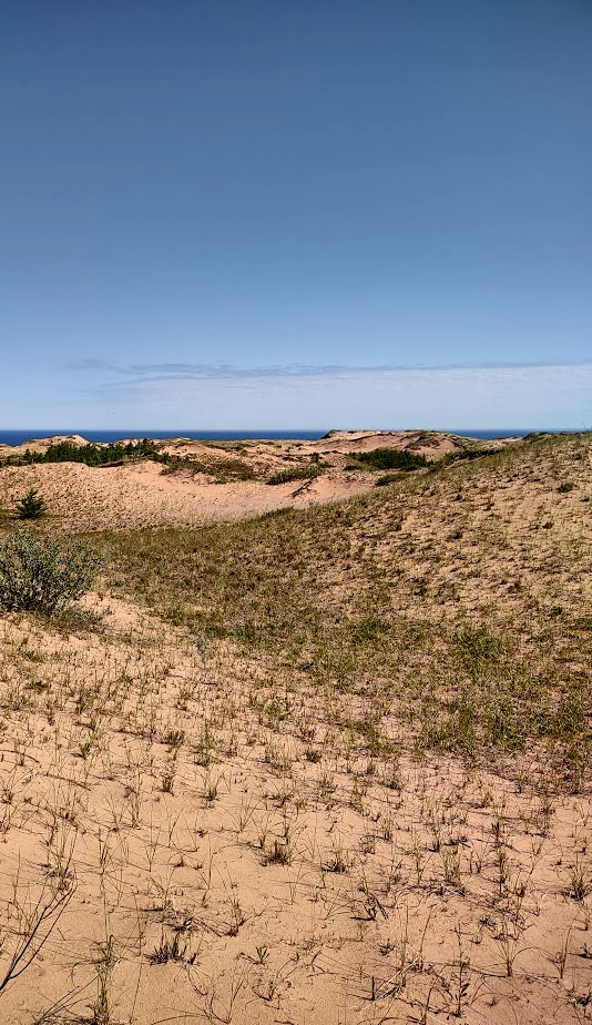 View looking north of Grand Sable Dunes, Pictured Rocks National Lakeshore